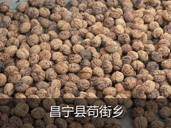 昌宁县苟街乡
